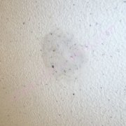 Titik muncul di kertas dinding cecair, apa yang harus saya lakukan?