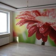 Wallpapering: cara melakukannya dengan betul