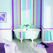 Apa cat untuk melukis mandi: pengenalan kepada ciri dan klasifikasi