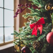Cara memilih pokok Krismas untuk Tahun Baru