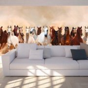 Kertas dinding kuda: cara penggunaan di kawasan pedalaman