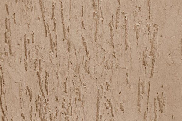 Tekstur plaster kumbang kulit kayu