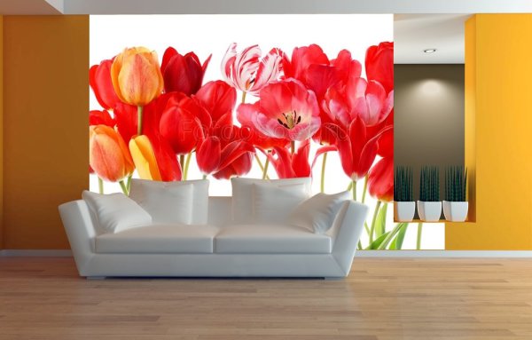 Bunga tulip merah di ruang tamu
