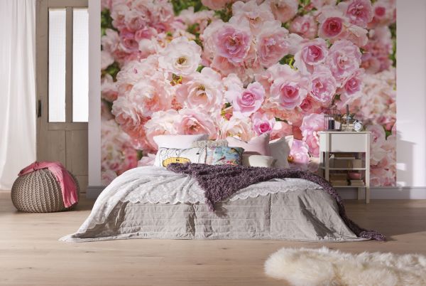 Mawar merah jambu dinding, di bahagian dalam bilik tidur yang terang