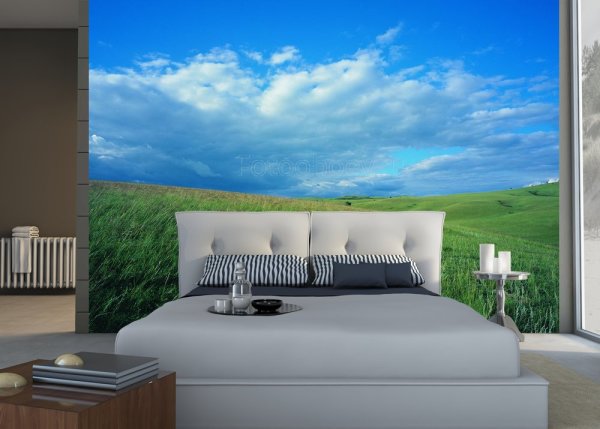 Imej langit biru dan medan hijau mewujudkan pemisahan dalaman mendatar yang jelas di dalam bilik tidur dan secara visual menjadikan ruangan lebih luas