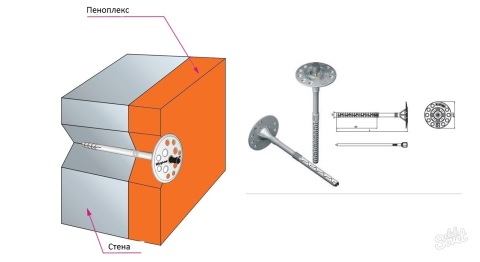 התוכנית להצמדת פטרת penoplex