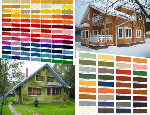 Elige el color de la fachada de la casa.